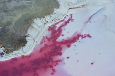 Ukrayna 'daki Jarilgach adasının görkemli manzaraları..