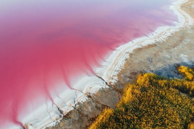 Pembe suyu olan sahil. Ukrayna 'daki Jarilgach adasının görkemli manzaraları..