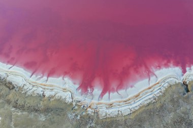 Pembe suyu olan sahil. Ukrayna 'daki Jarilgach adasının görkemli manzaraları..