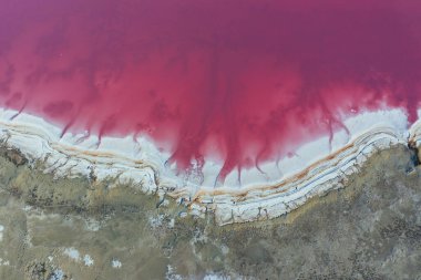 Pembe suyu olan sahil. Ukrayna 'daki Jarilgach adasının görkemli manzaraları..