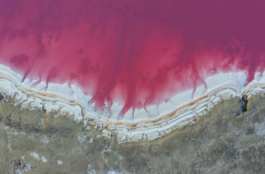 Pembe suyu olan sahil. Ukrayna 'daki Jarilgach adasının görkemli manzaraları..