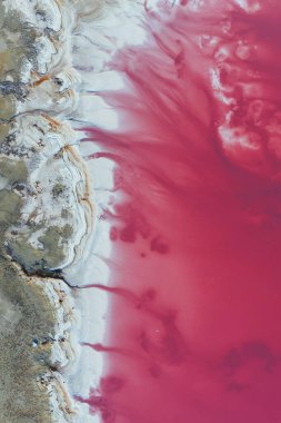 Ukrayna 'daki Jarilgach adasının görkemli manzaraları..