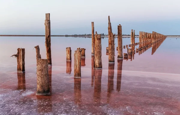 Houten Obstakels Zee Van Jarilgach Eiland Oekraïne Overdag — Stockfoto