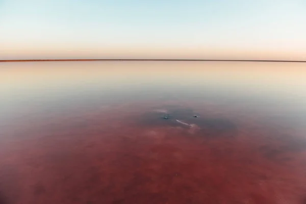 Afstandelijk Uitzicht Het Meer Jarilgach Eiland Oekraïne Overdag Rood Gekleurd — Stockfoto
