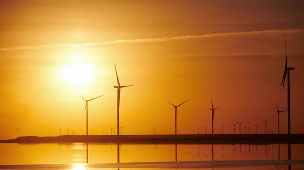 Veel Windmolens Het Eiland Jarilgach Oekraïne Zonsondergang — Stockfoto