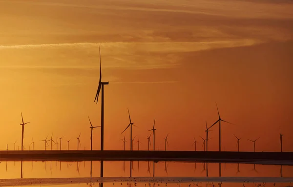 Veel Windmolens Het Eiland Jarilgach Oekraïne Zonsondergang — Stockfoto