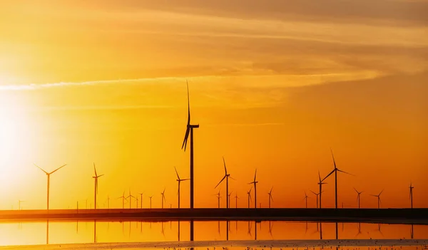 Veel Windmolens Het Eiland Jarilgach Oekraïne Zonsondergang — Stockfoto