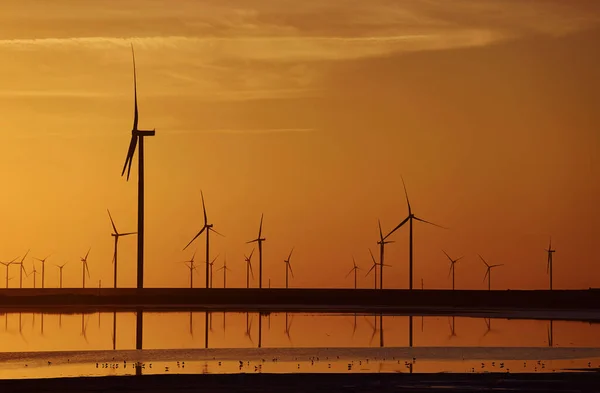 Veel Windmolens Het Eiland Jarilgach Oekraïne Zonsondergang — Stockfoto