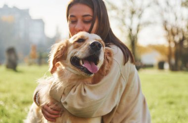 Evcil hayvanı kucaklamak. Genç bayan Golden Retriever ile parkta yürüyüş yapıyor..