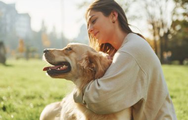 Evcil hayvanı kucaklamak. Genç bayan Golden Retriever ile parkta yürüyüş yapıyor..