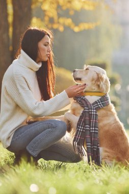 Eşarp takıyordu. Genç bayan Golden Retriever ile parkta yürüyüş yapıyor..