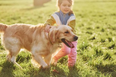 Küçük kız gündüz vakti Golden Retriever köpeğiyle parkta yürüyüşe çıkıyor..