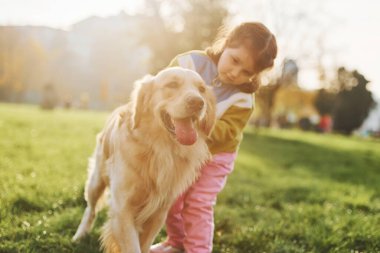 Küçük kız gündüz vakti Golden Retriever köpeğiyle parkta yürüyüşe çıkıyor..
