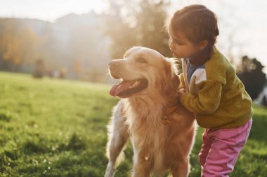 Küçük kız gündüz vakti Golden Retriever köpeğiyle parkta yürüyüşe çıkıyor..