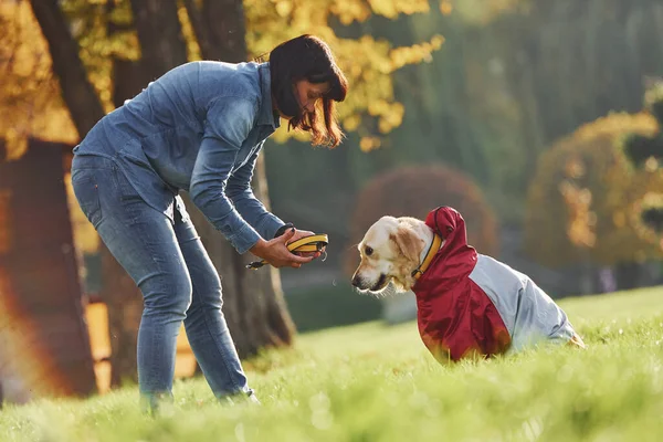 Kobieta Spaceruje Psem Golden Retriever Parku Dzień — Zdjęcie stockowe