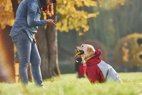 Kobieta Spaceruje Psem Golden Retriever Parku Dzień — Zdjęcie stockowe