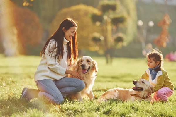 Mãe Com Sua Filha Ter Andar Com Dois Cães Golden — Fotografia de Stock