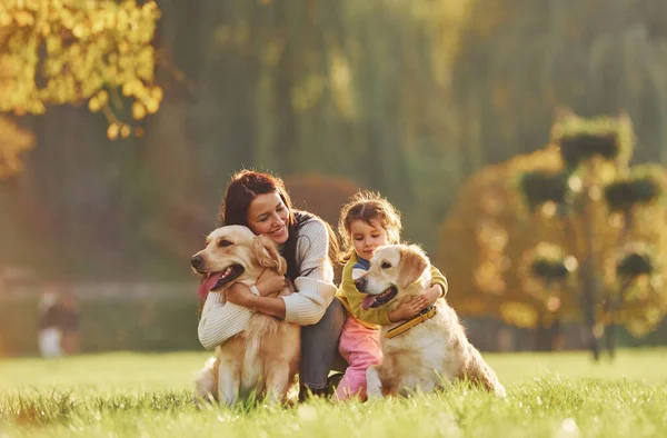 Mãe Com Sua Filha Ter Andar Com Dois Cães Golden — Fotografia de Stock