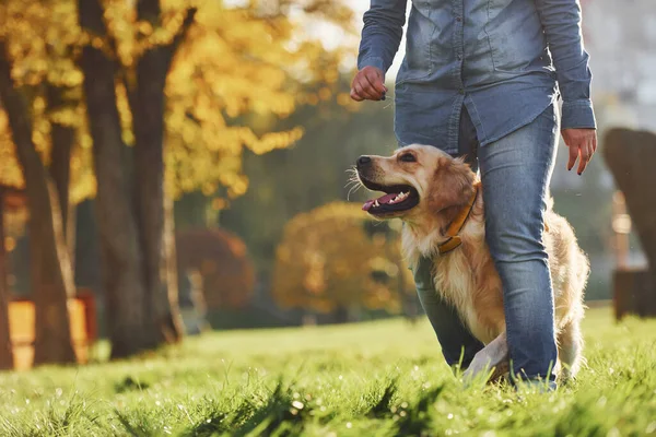 Kvinna Promenad Med Golden Retriever Hund Parken Dagtid — Stockfoto