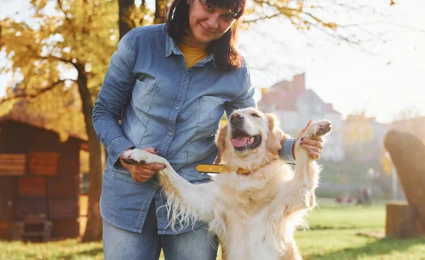 Kvinna Promenad Med Golden Retriever Hund Parken Dagtid — Stockfoto