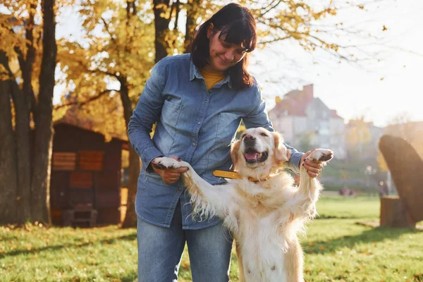 Mulher Tem Passeio Com Cão Golden Retriever Parque Durante Dia — Fotografia de Stock