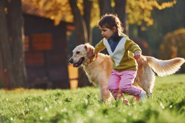 Niña Dar Paseo Con Golden Retriever Perro Parque Durante Día —  Fotos de Stock