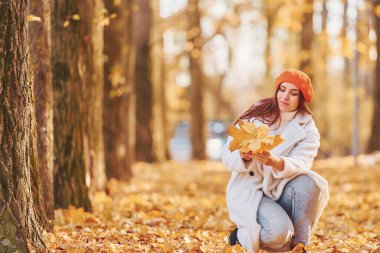 Ön manzara. Beyaz önlüklü kadın sonbahar parkında eğleniyor..
