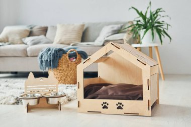 Küçük evcil hayvan standı modern yurt odasının zemininde..