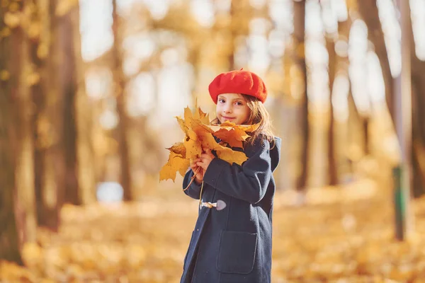 Trzymanie Liści Rękach Cute Dodatni Mała Dziewczynka Zabawy Jesiennym Parku — Zdjęcie stockowe