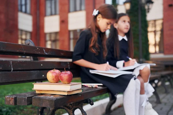 Bücher Und Äpfel Zwei Schülerinnen Stehen Gemeinsam Der Nähe Eines — Stockfoto
