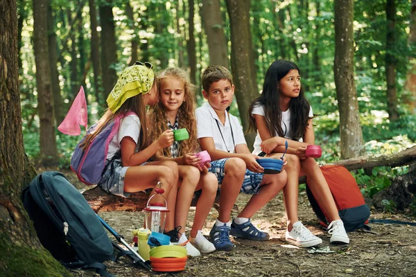 坐在营地里 孩子们带着旅行器材在森林里散步 — 图库照片