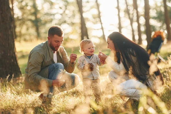 Divirtiéndose Familia Feliz Padre Madre Hija Pequeña Está Bosque —  Fotos de Stock