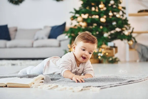 Choinka Tyłu Cute Little Baby Jest Wewnątrz Pokoju Domowym — Zdjęcie stockowe