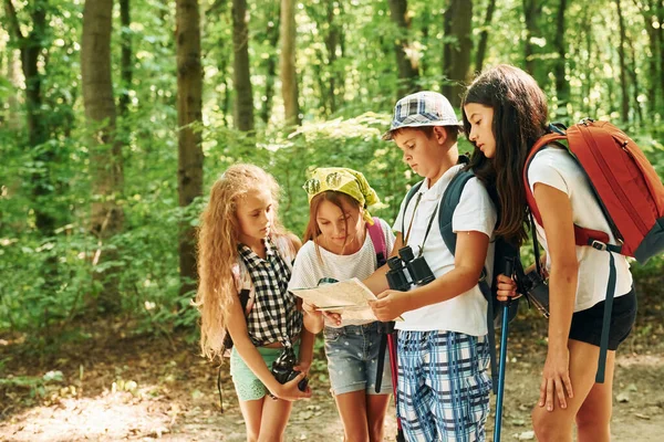 寻找一条路 孩子们带着旅行器材在森林里散步 — 图库照片