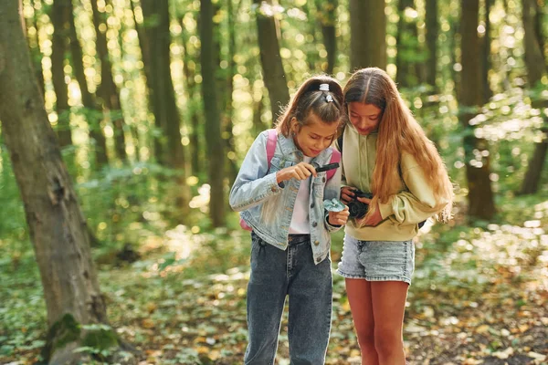 Duas Meninas Floresta Verde Durante Dia Verão Juntas — Fotografia de Stock