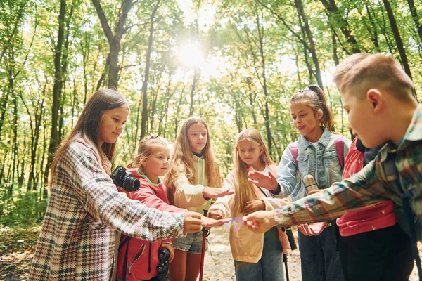 Med Hjälp Karta Barn Grön Skog Sommaren Dagtid Tillsammans — Stockfoto
