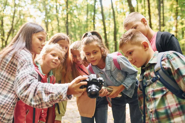 Vue Face Enfants Dans Forêt Verte Pendant Journée Été Ensemble — Photo