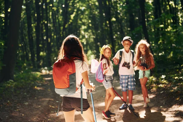 Pronto Para Aventura Crianças Passeando Floresta Com Equipamentos Viagem — Fotografia de Stock