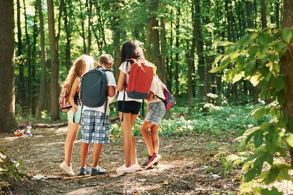 Çocuklar Seyahat Ekipmanlarıyla Ormanda Geziniyorlar — Stok fotoğraf