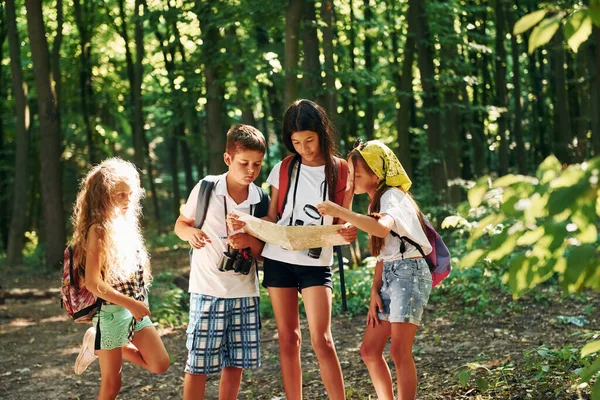 用地图来找到一条路孩子们带着旅行器材在森林里散步 — 图库照片