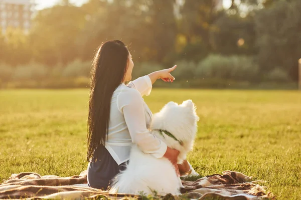 Mulher Bonita Camisa Branca Sentada Com Seu Cão Campo Durante — Fotografia de Stock