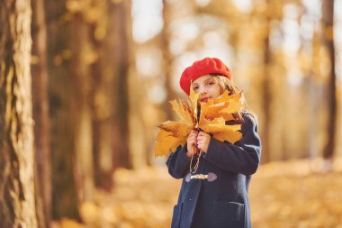 Yaprakları elinde tutarak. Tatlı pozitif küçük kız sonbahar parkında iyi eğlenceler..
