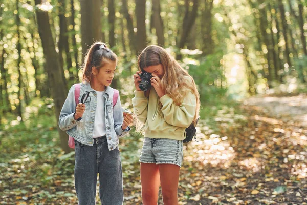 Two Friends Kids Green Forest Summer Daytime Together — Stock Photo, Image