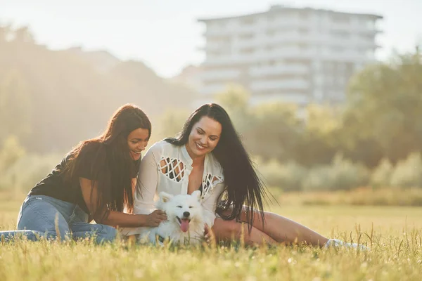 Duas Mulheres Com Cão Está Divertindo Campo Dia Ensolarado — Fotografia de Stock
