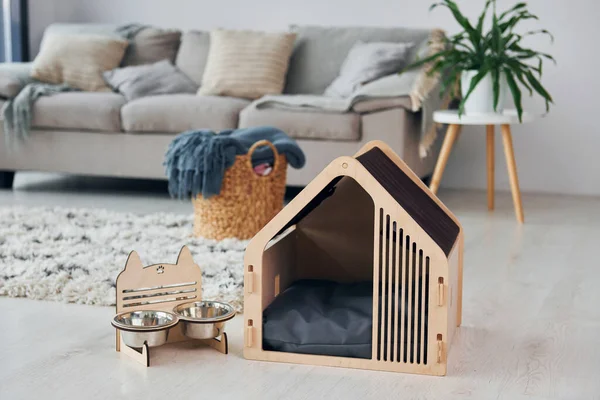 Pequena Cabine Animais Estimação Está Chão Moderna Sala Doméstica — Fotografia de Stock