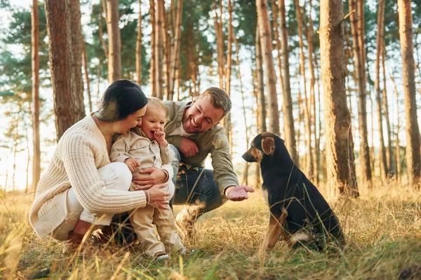 犬と遊ぶ 父と母と娘の幸せな家族が森の中にいる — ストック写真