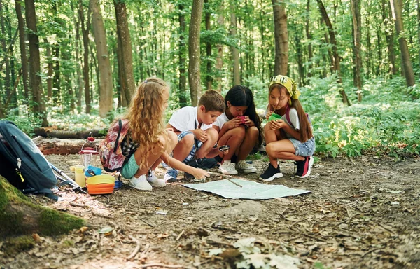 坐在营地里 孩子们带着旅行器材在森林里散步 — 图库照片
