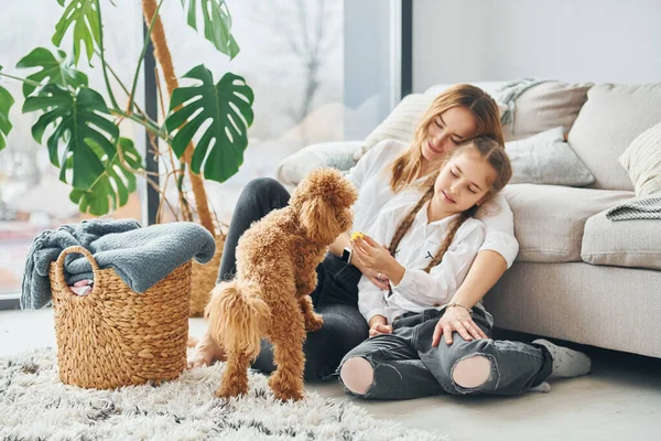 Mère Avec Fille Jouant Avec Chien Mignon Petit Chiot Caniche — Photo