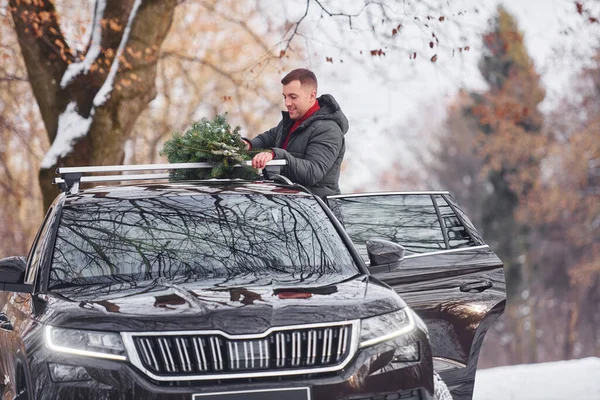 In the forest. Man with little green fir is outdoors near his car. Conception of holidays.