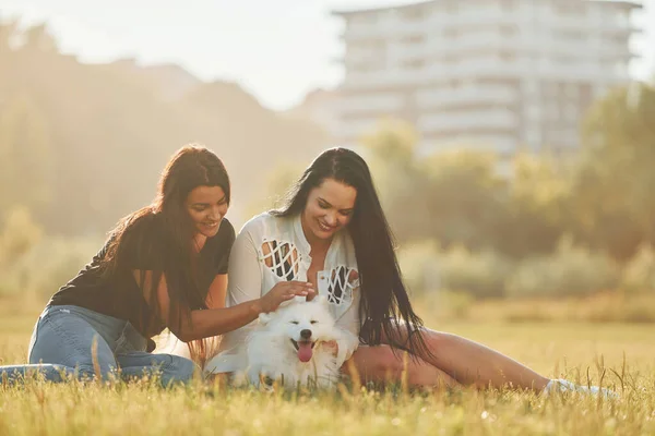 Två Kvinnor Med Hund Har Roligt Planen Solig Dag — Stockfoto